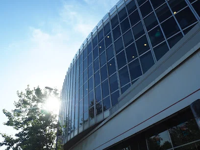 Rocamora Dental | Clínica Dental en Terrassa