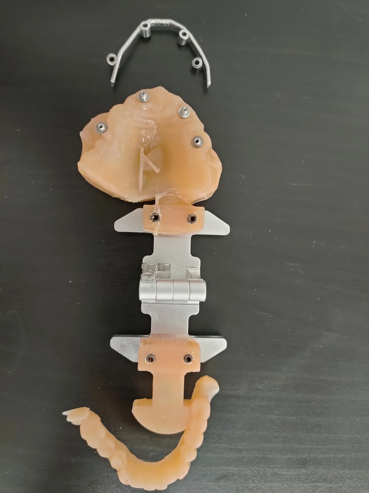 Art Design Laboratorio De Protesis Dental