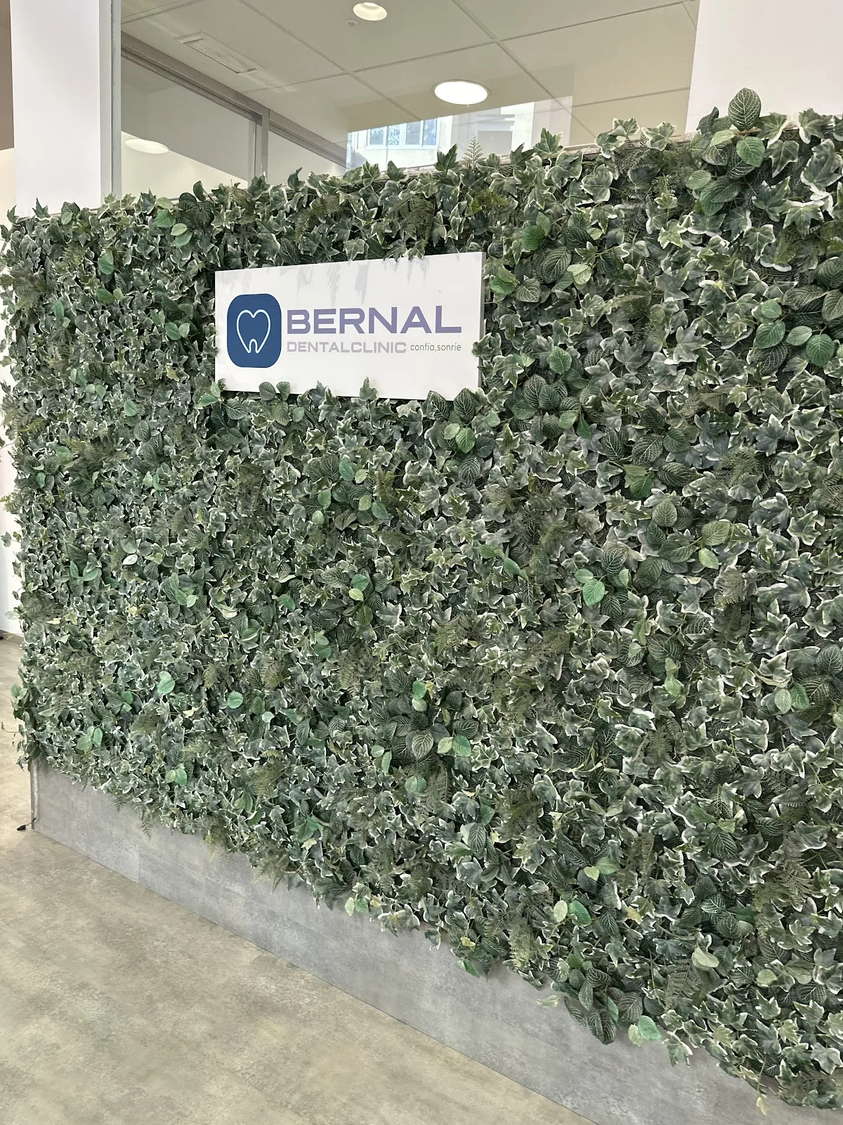 Bernal Dental Clinic - 2