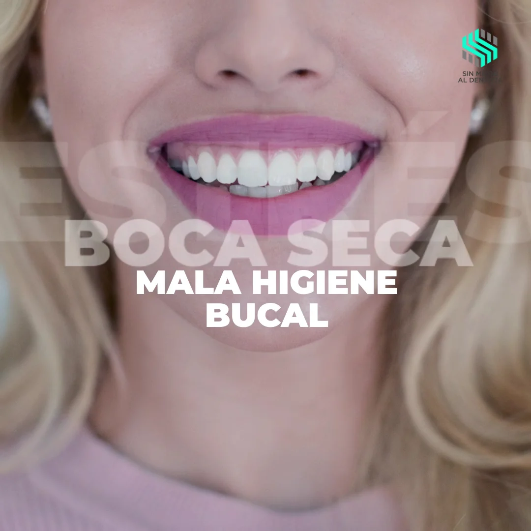 Besmile I 𝐃𝐞𝐧𝐭𝐢𝐬𝐭𝐚𝐬 𝐞𝐧 𝐒𝐚𝐧 𝐒𝐞𝐛𝐚𝐬𝐭𝐢𝐚́𝐧 𝐝𝐞 𝐥𝐨𝐬 𝐑𝐞𝐲𝐞𝐬 - 3