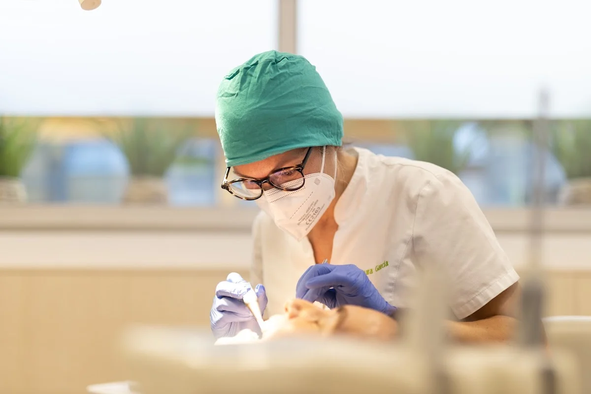 Centre Dental M. Castellsagué - 2