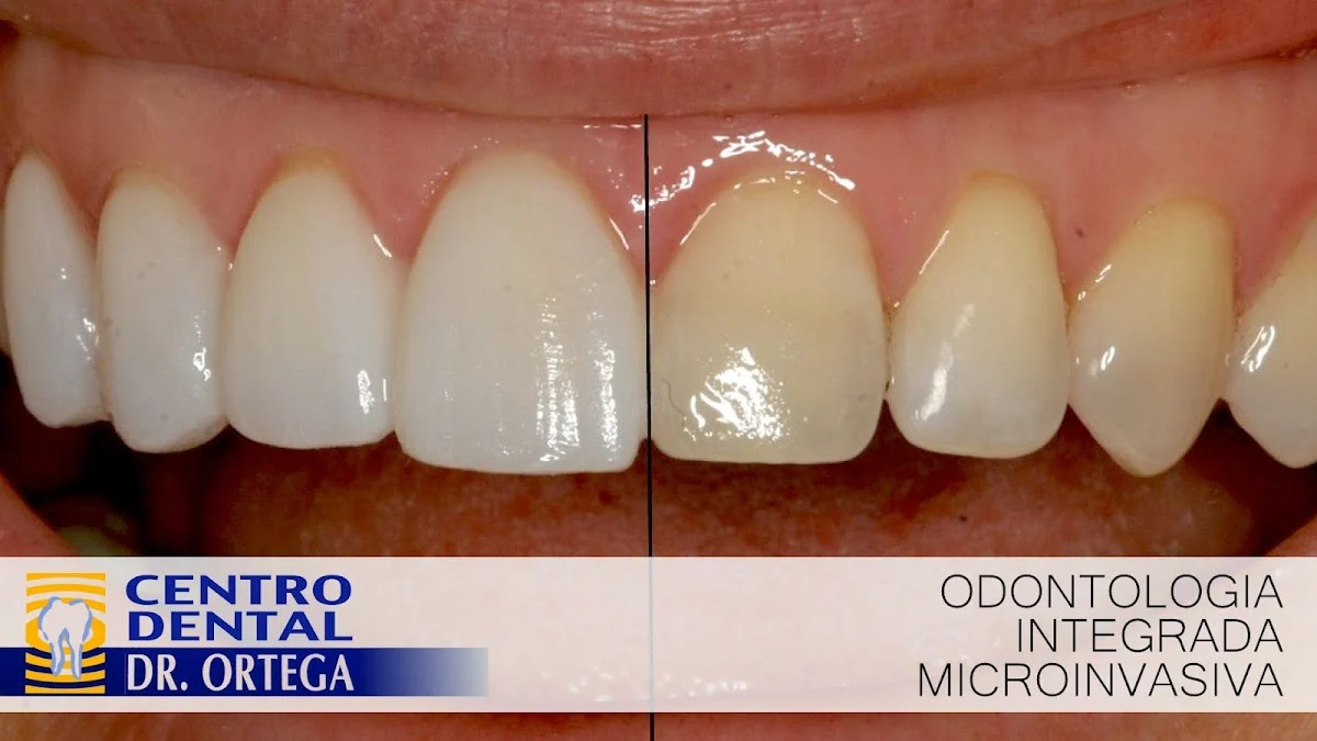 CENTRO DENTAL DR ORTEGA - 2
