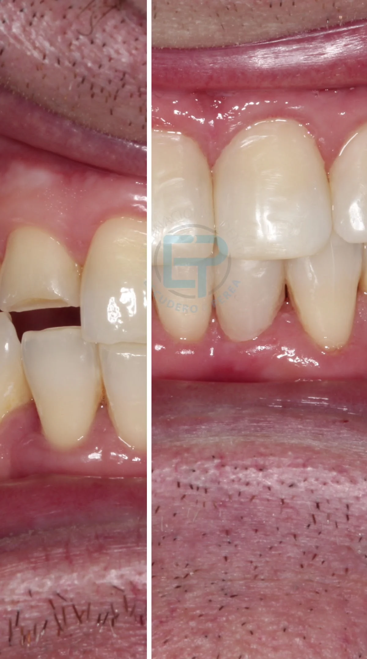Centro Dental Internacional Auditorium - 2