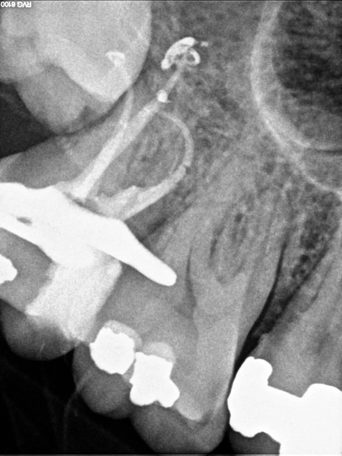 Centro Dental Navarro Ferri - 2