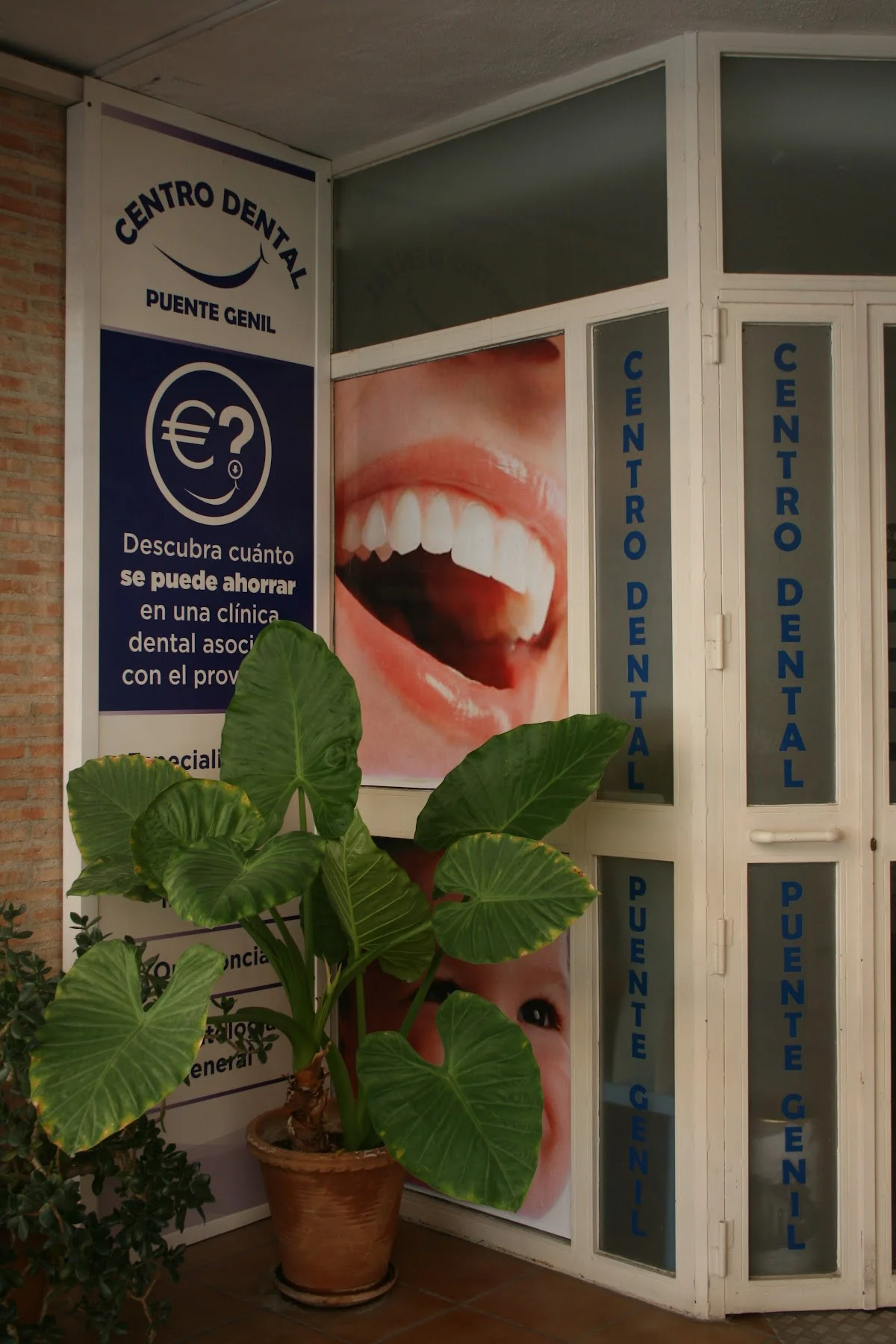 CENTRO DENTAL PUENTE GENIL - 2