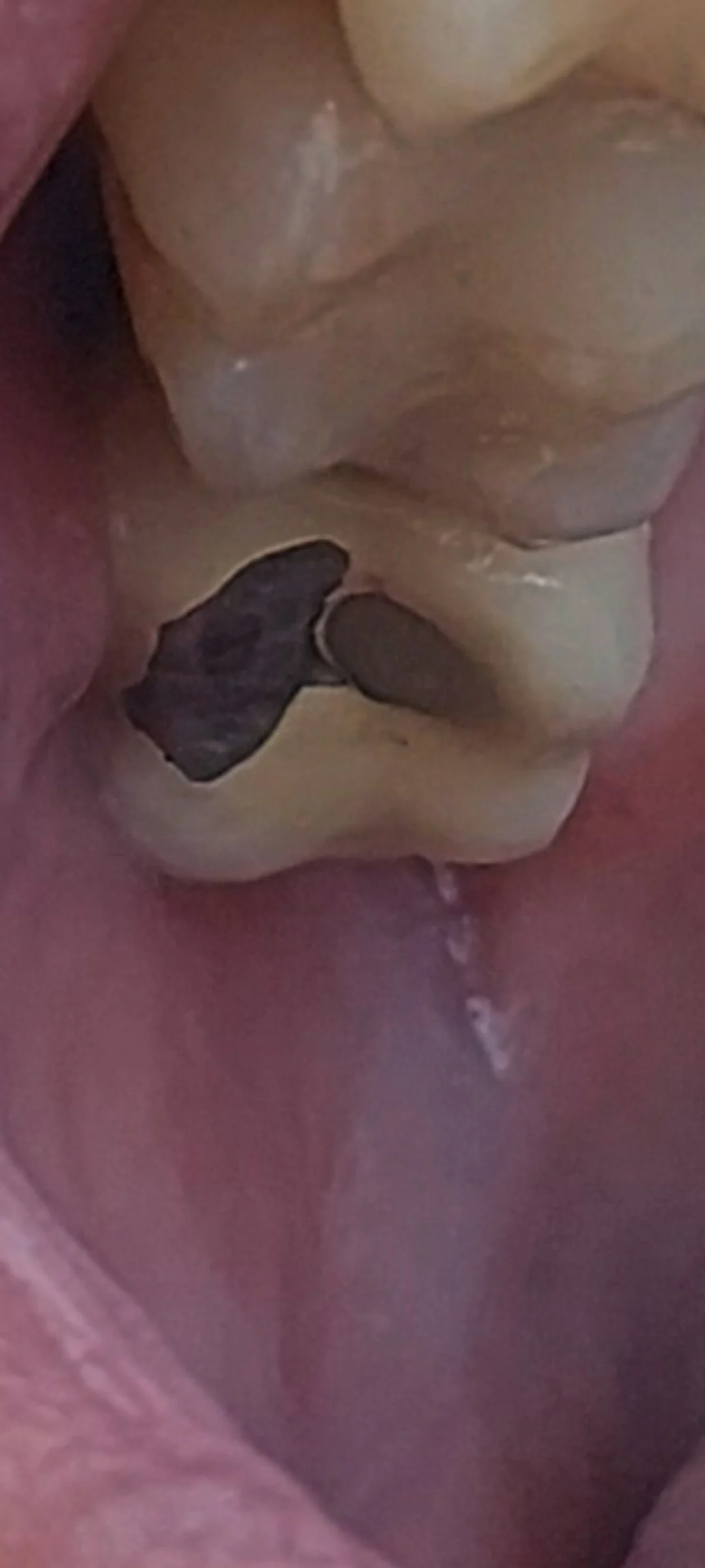 Clínica Dental Adeslas - 2