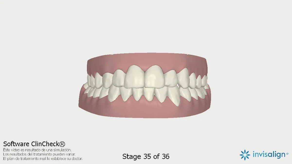 Clinica Dental Basi - 3