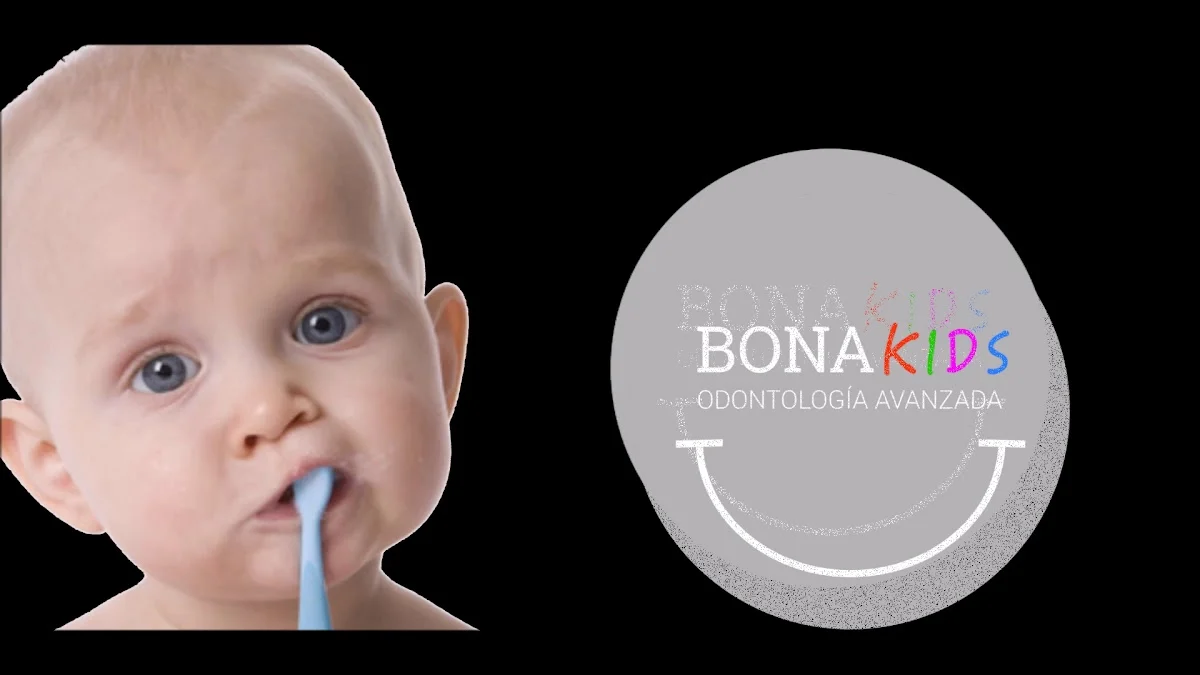 Clínica Dental Bonadex - 3