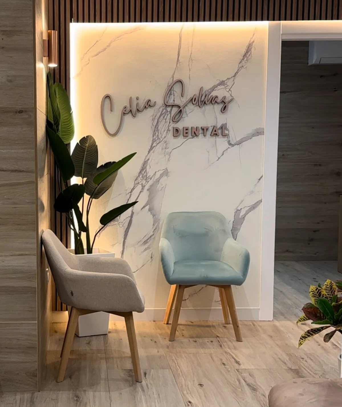 Clínica Dental Celia Solvas - 2