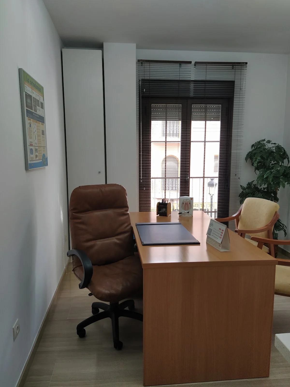 Clínica Dental DENTALSUR - Dra. Francisca Calvo Serrano - 2