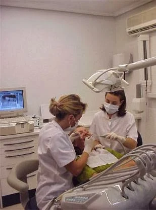 Clínica Dental Dra. Barrio Alonso - 3