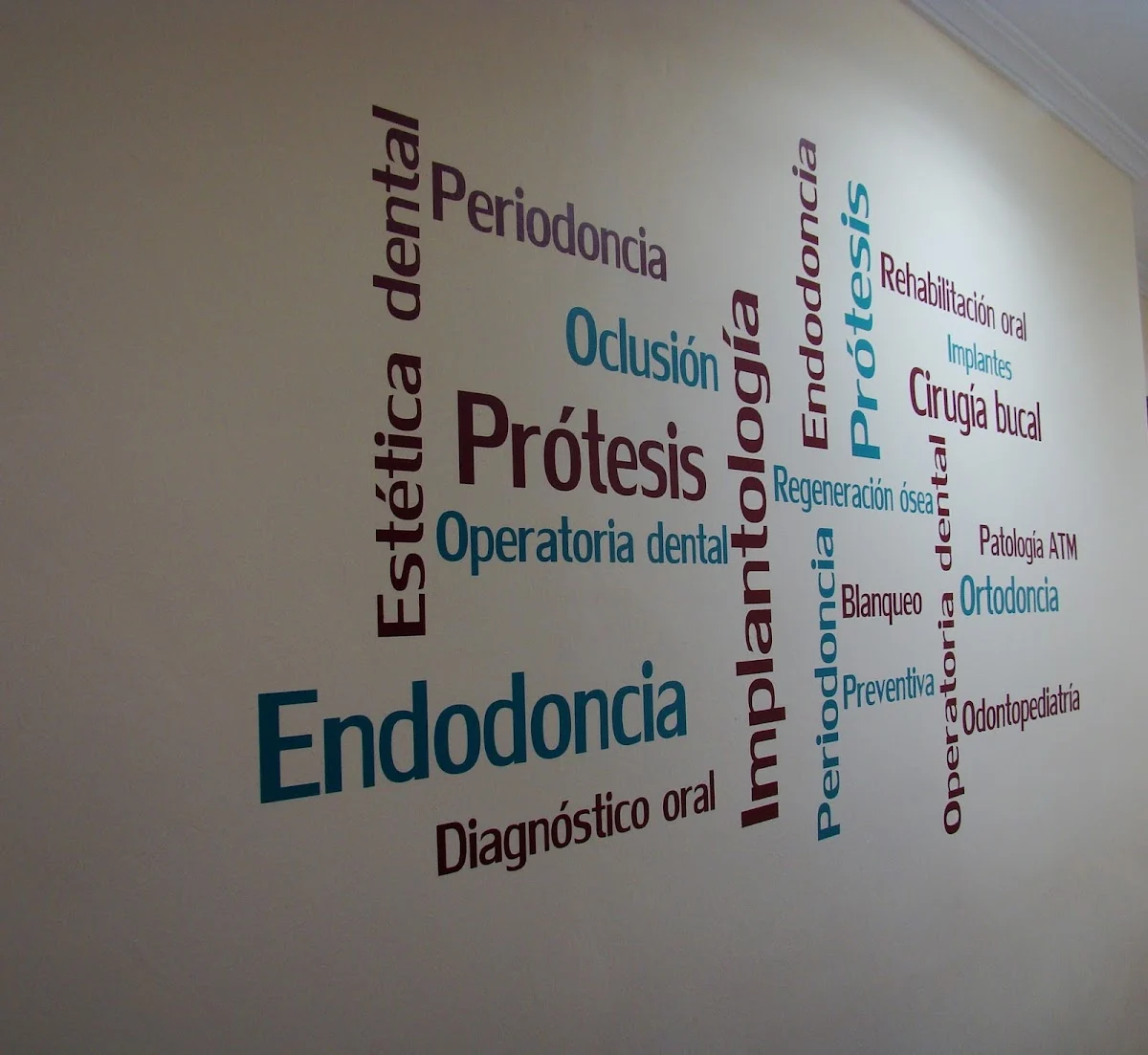 Clinica Dental Dra. Erica Franco - Dentistas
