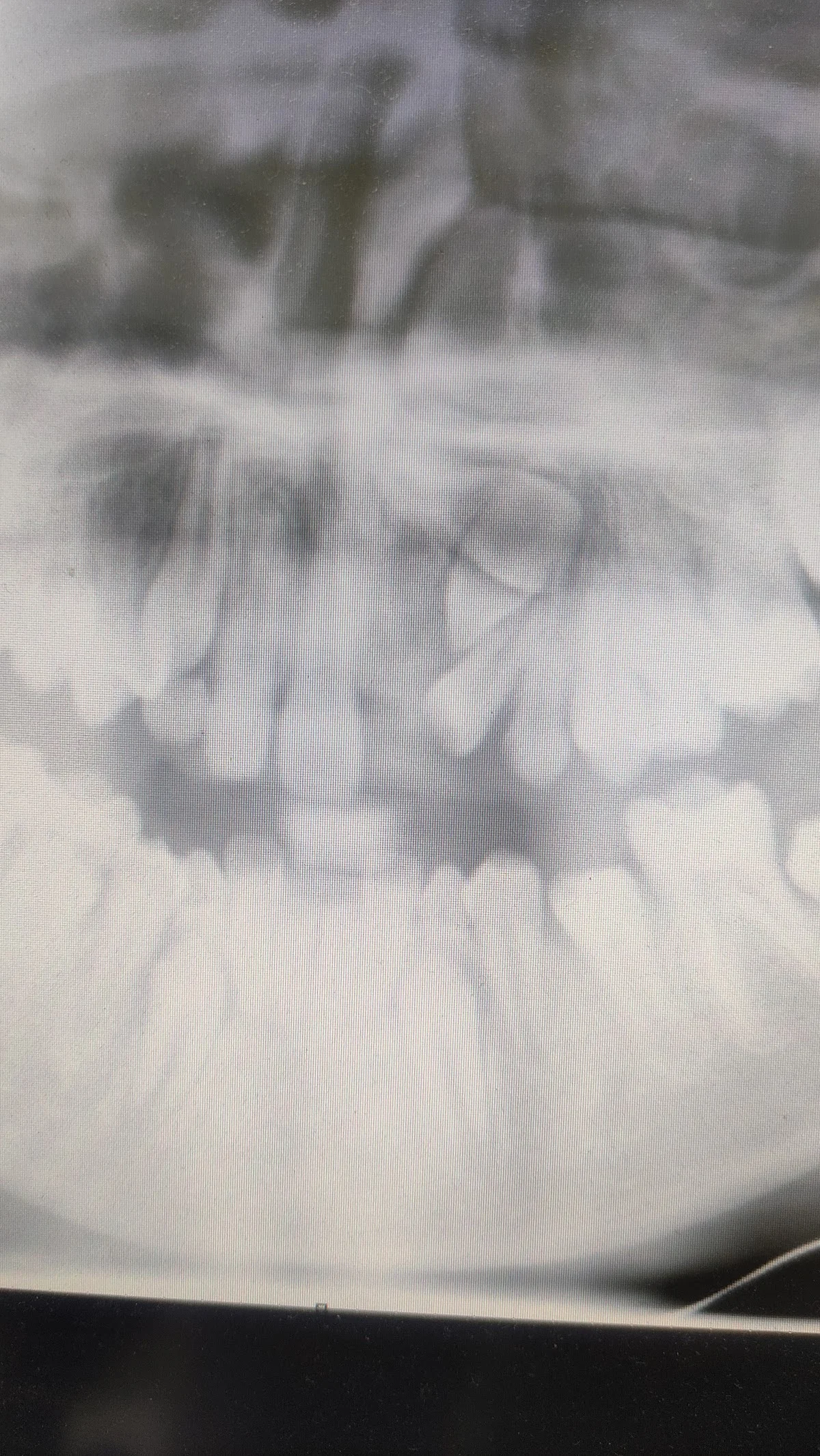 Clinica Dental Dra. Isabel Counotte - 2
