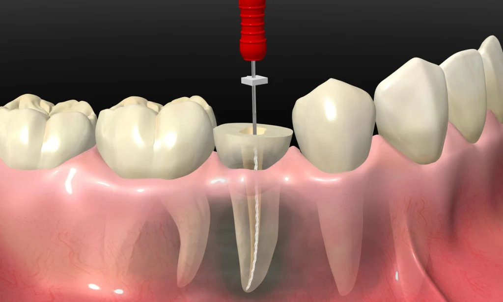 Clinica Dental Dra. Rodriguez Rubio - 2