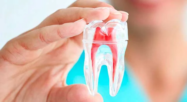 Clínica Dental Durango Hortz Klinika - 2