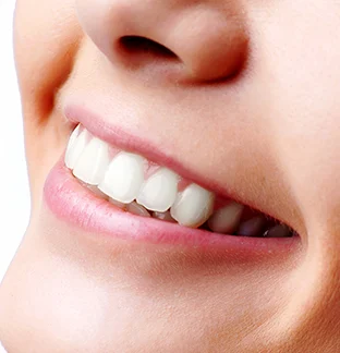 Clinica Dental Floranes