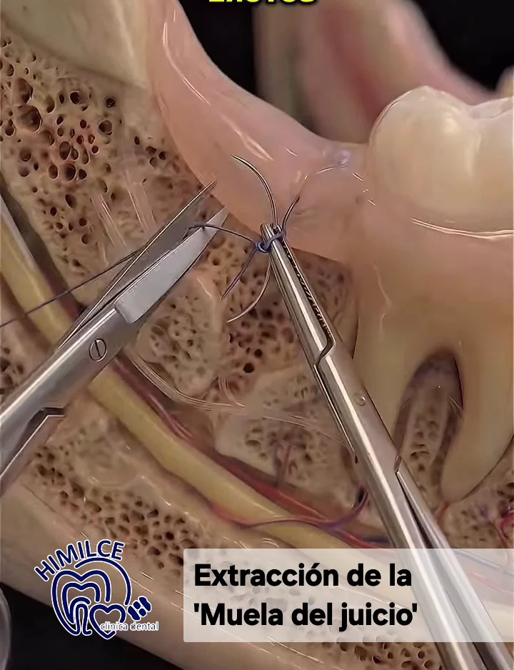 Clínica Dental Himilce - 2