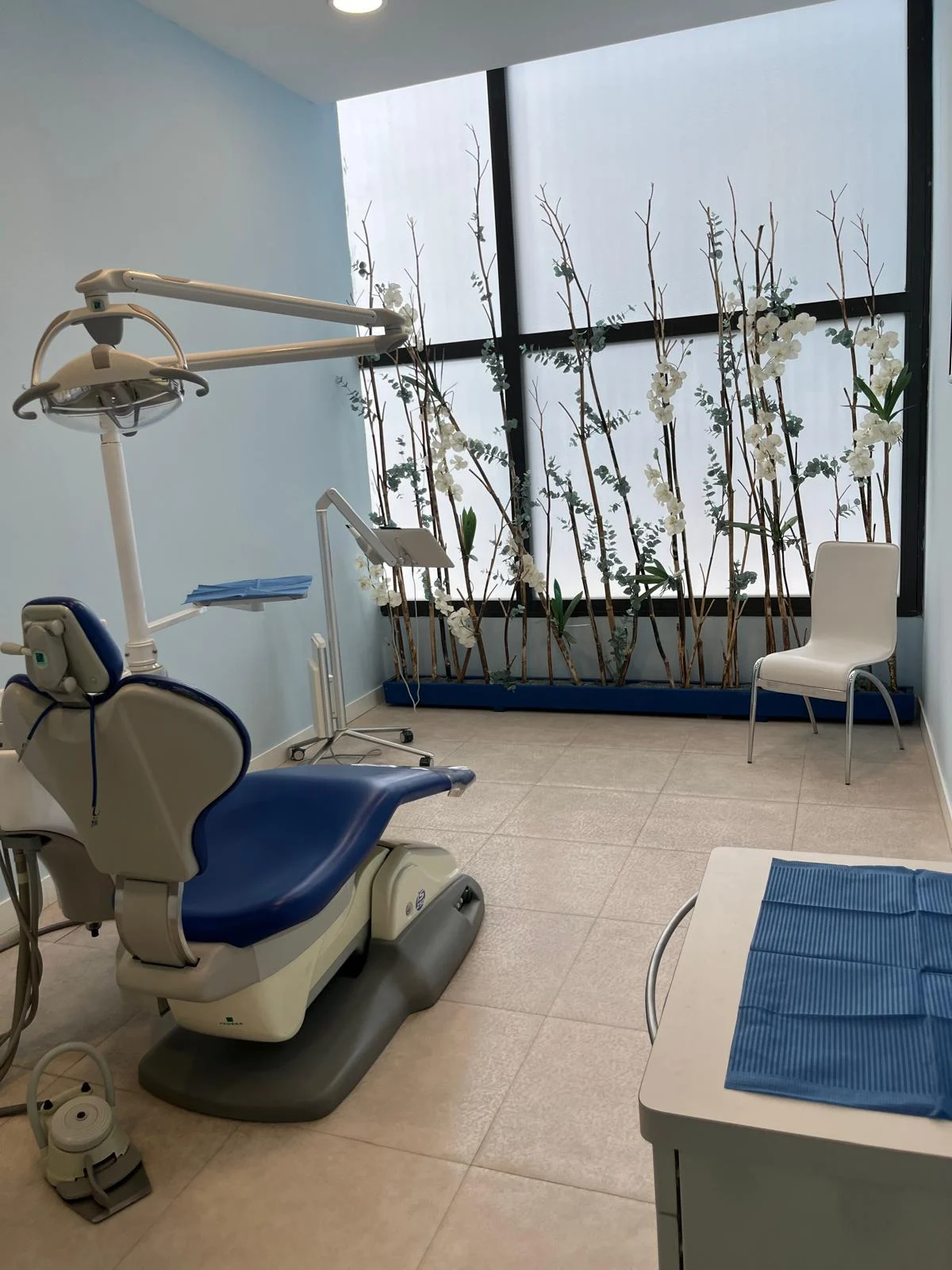 Clínica Dental ICOA en Las Rozas - 2
