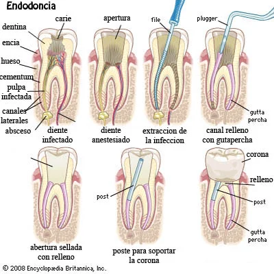 Clínica Dental Infantil y Adultos Dra. Begoña Gutiérrez Abascal - 2
