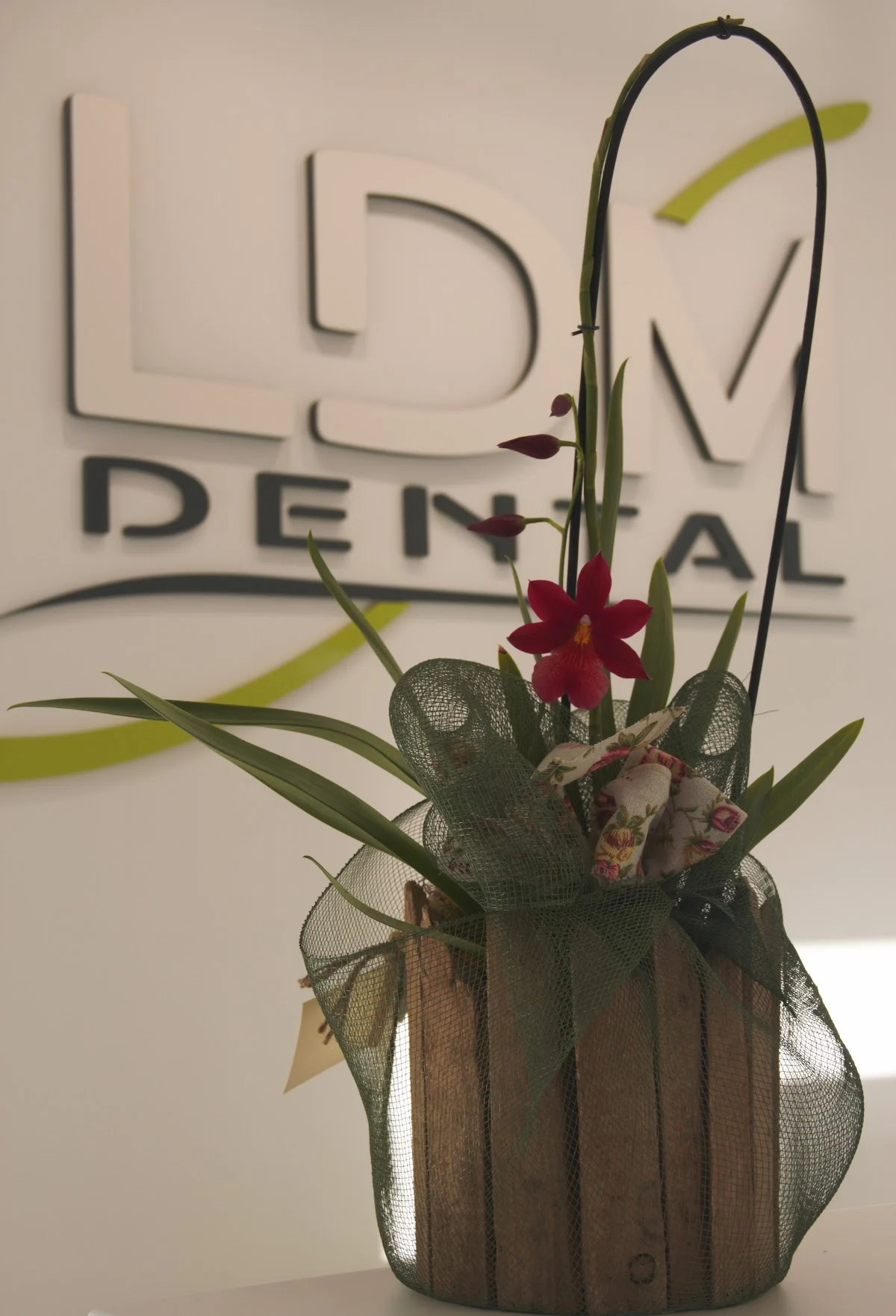 Clínica Dental Lucía de Miguel. LDM Dental