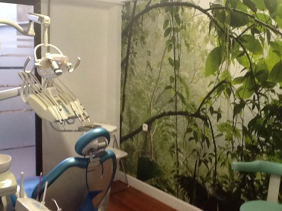 Clinica Dental Paula Sigwald