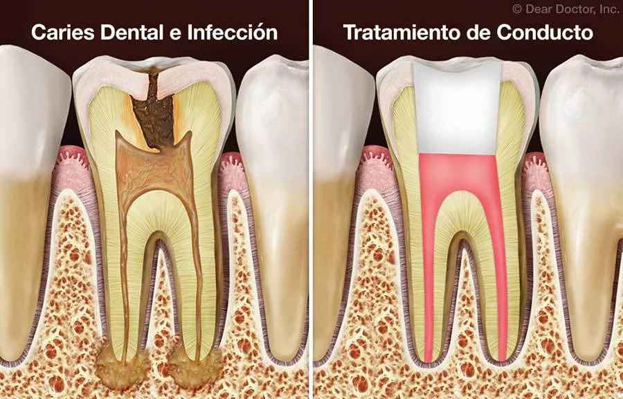 Clínica dental Tarragona ORTHOCLINIC - 2