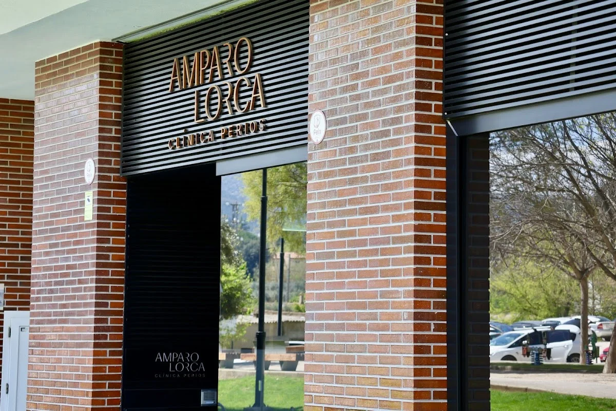 Clinica Perios Amparo Lorca Onteniente