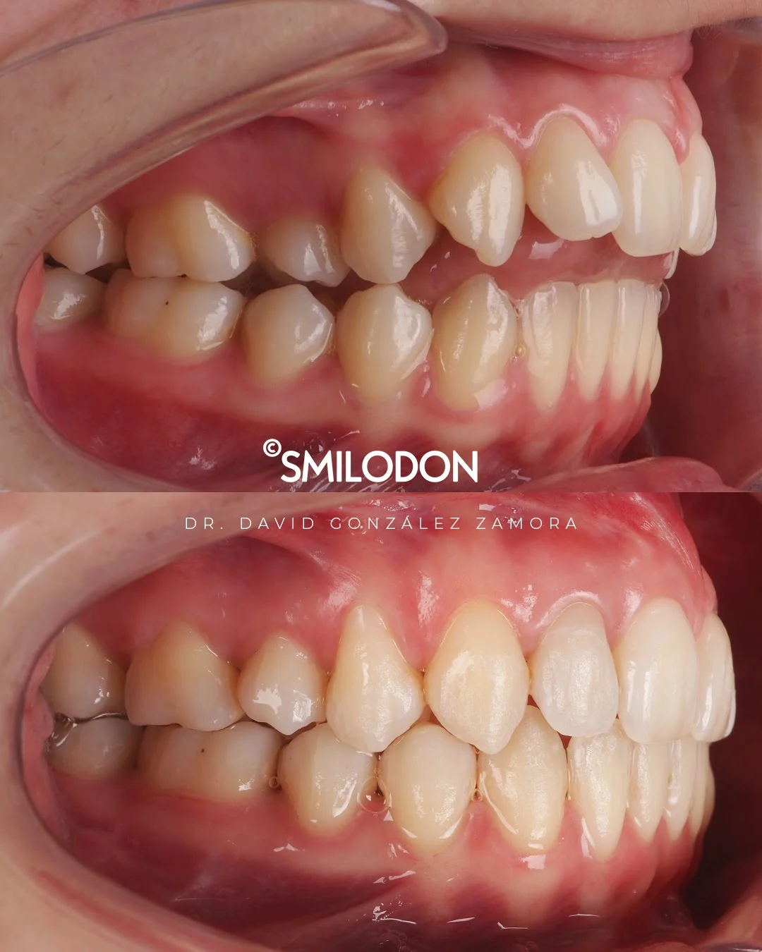 Clínica Smilodon - 2