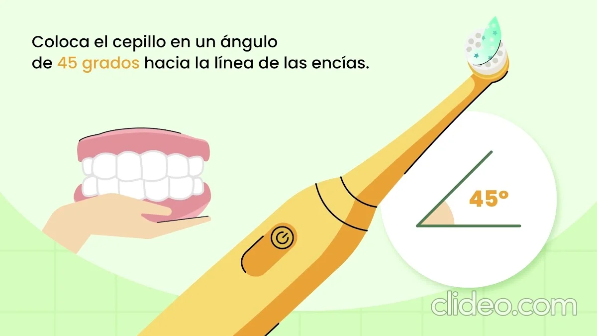 Conilsmile - 3