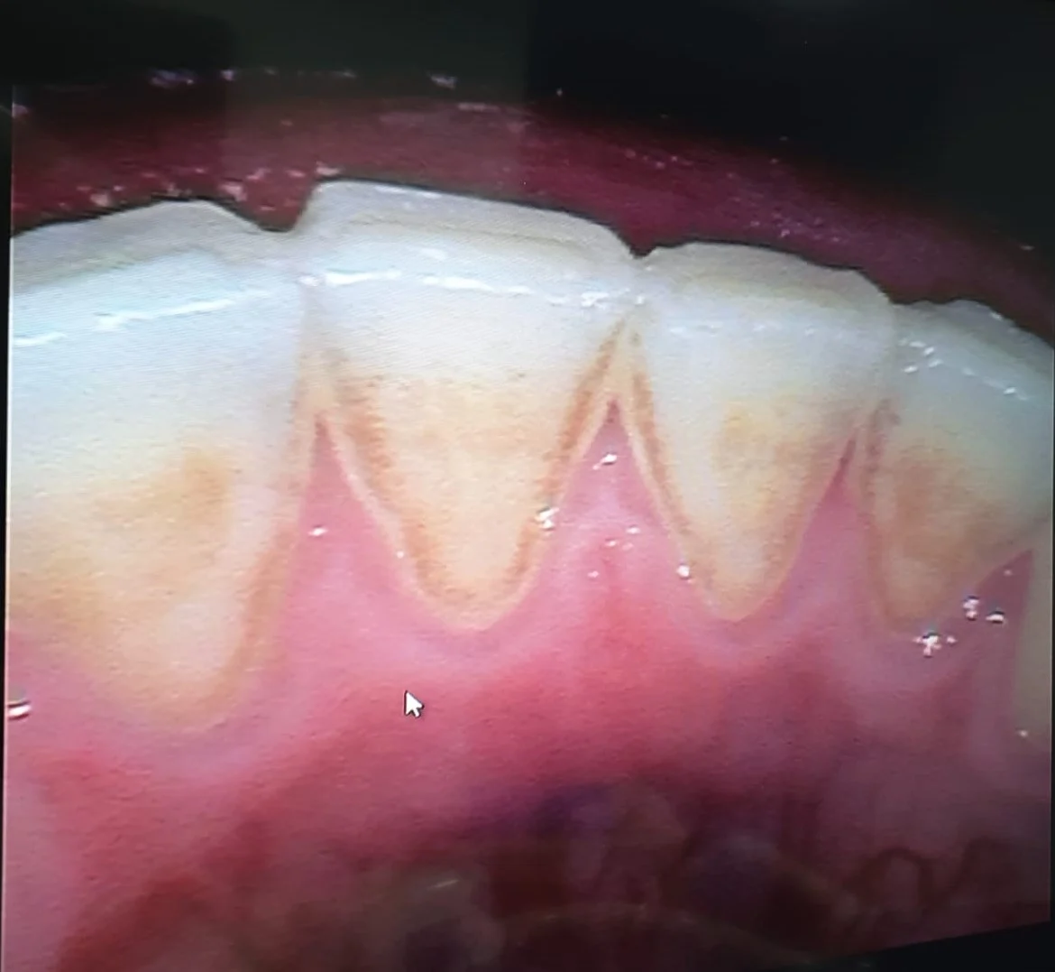 Dental Clinic Dencor - 3