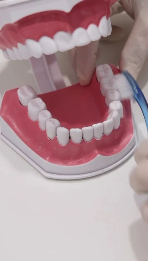 Dental Dres. García Gil Odontólogos - 2