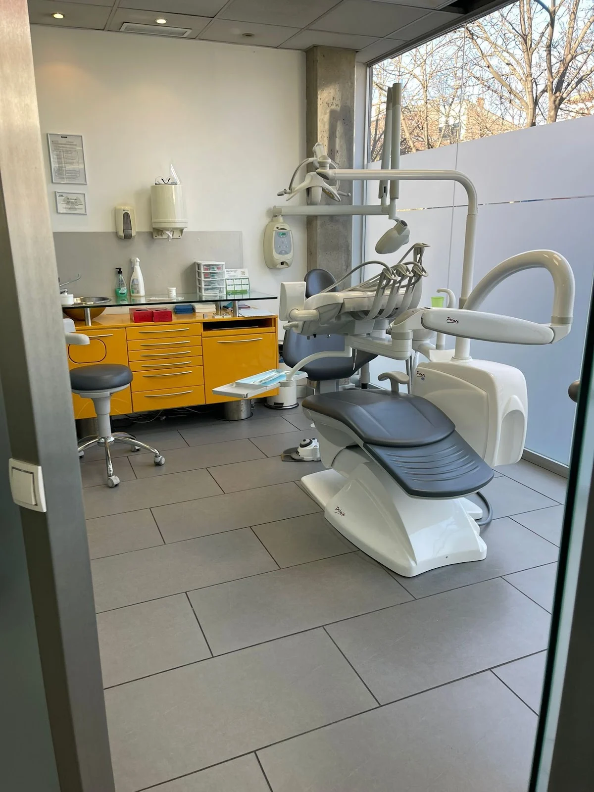 DENTAL MAJOR