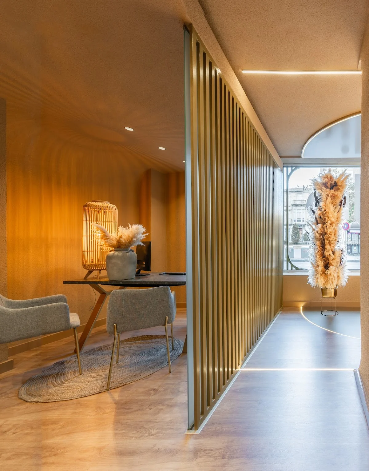DentalStudio - 2