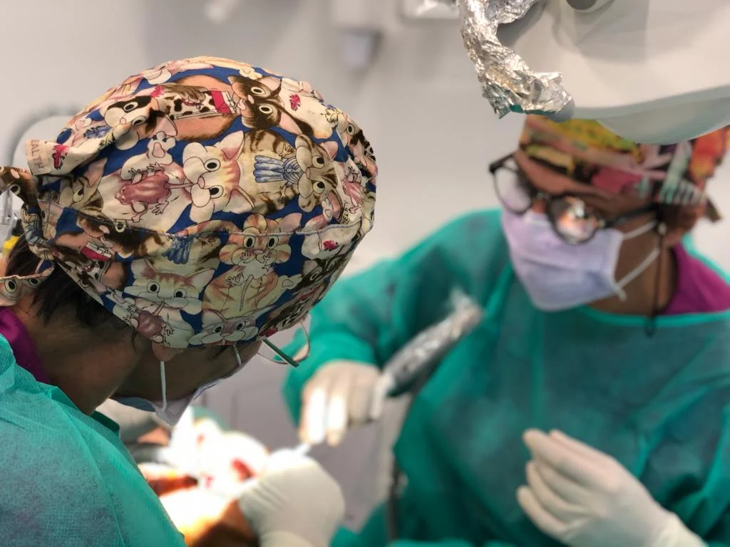 Dentistas en Benicasim Clínica Dental Benicàssim - 2