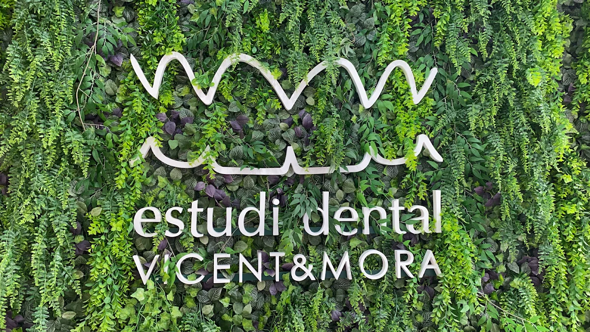 Estudi Dental Vicent & Mora