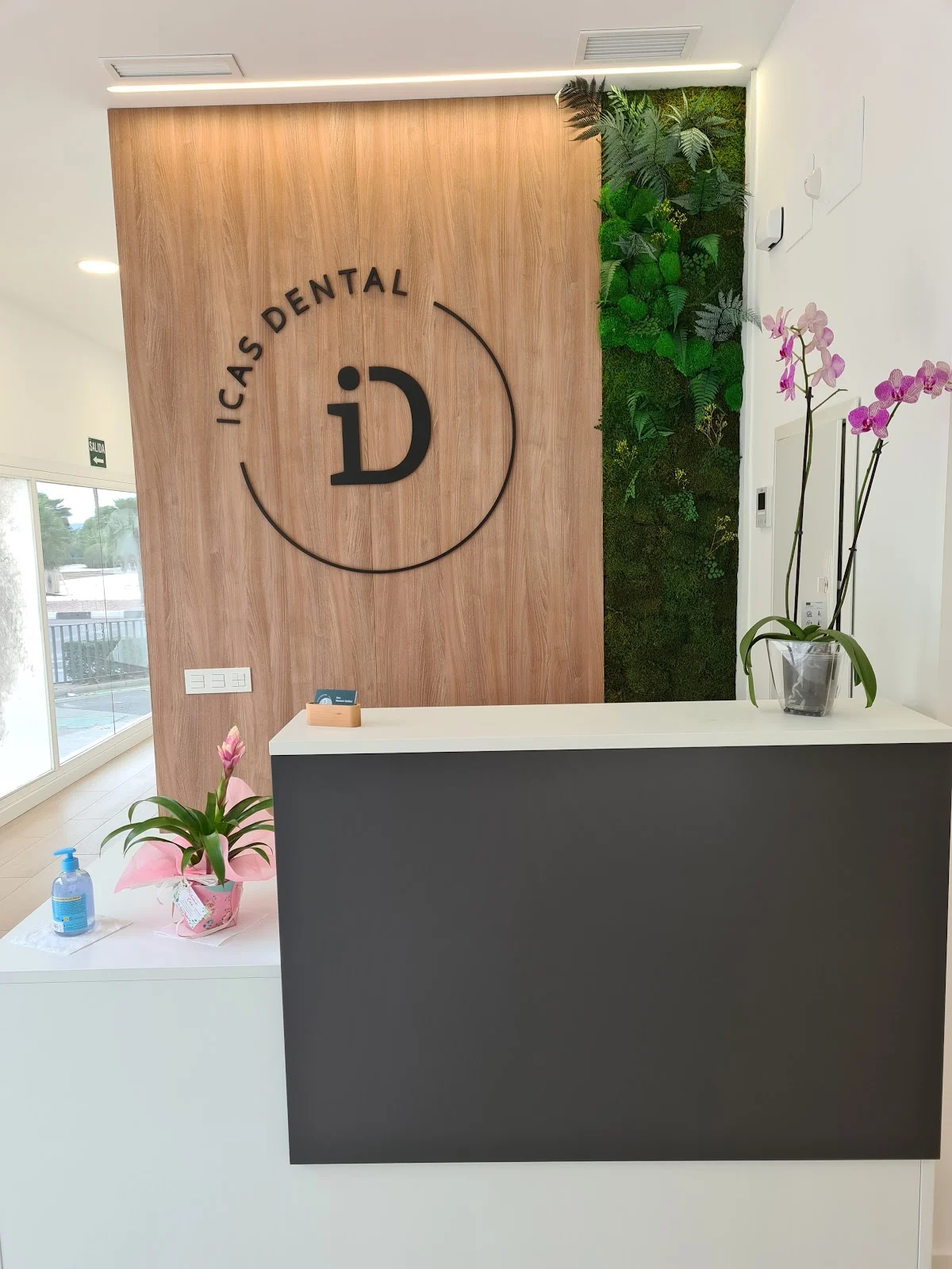 Icas Dental - 2