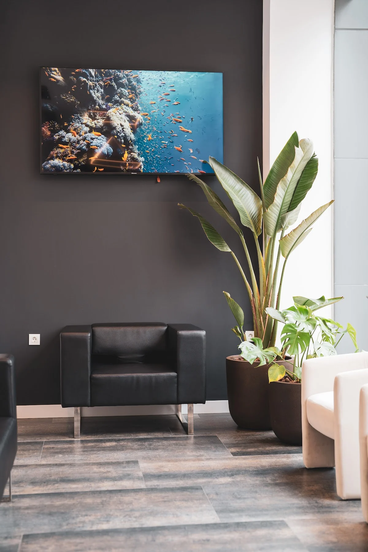 Inima Dental Clinic - 3