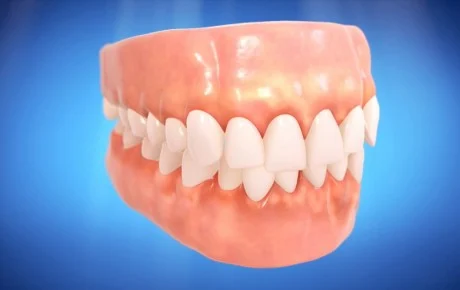 INSTITUT DENTAL LA NOGUERA - 2