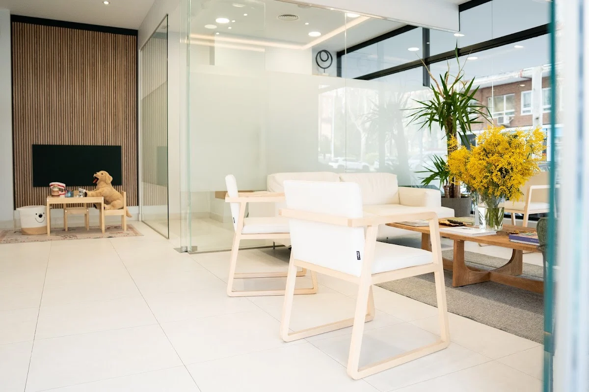 PATERNINA • Estudio Dental