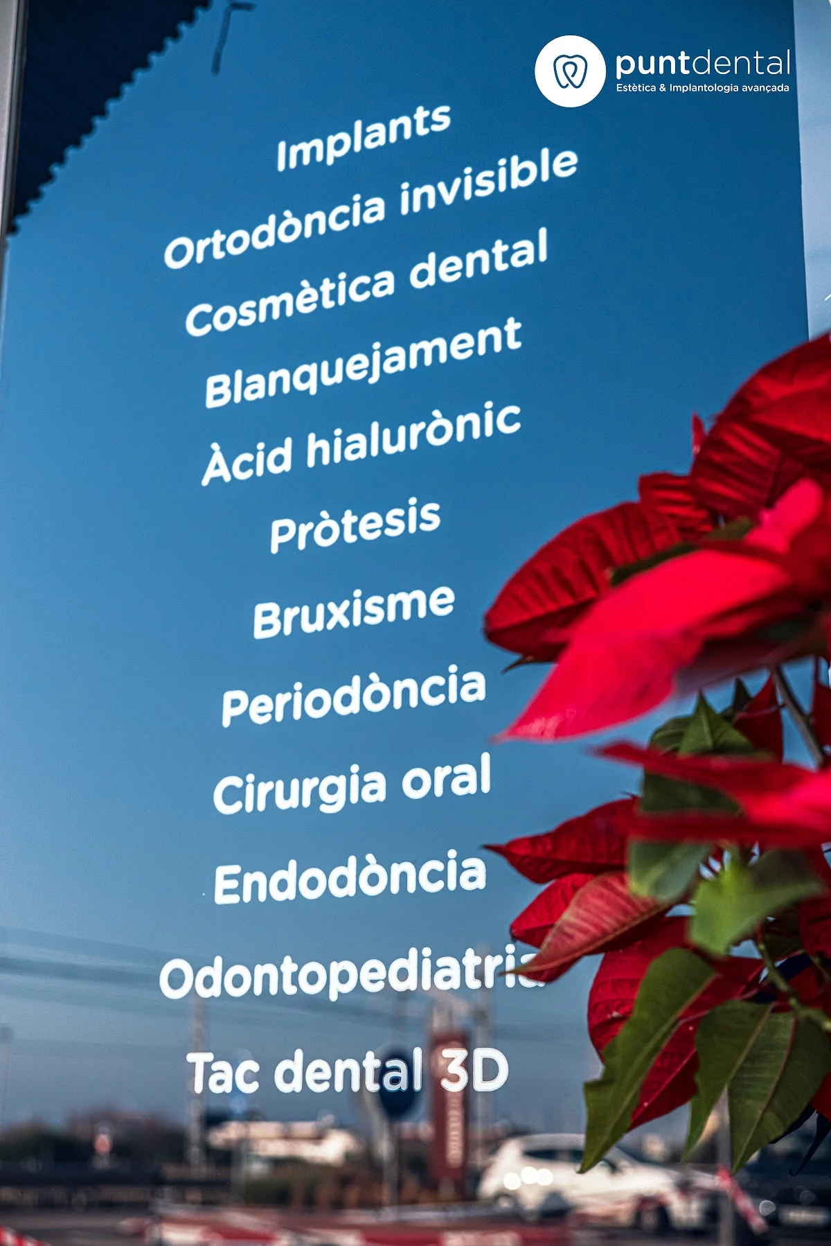 Punt Dental