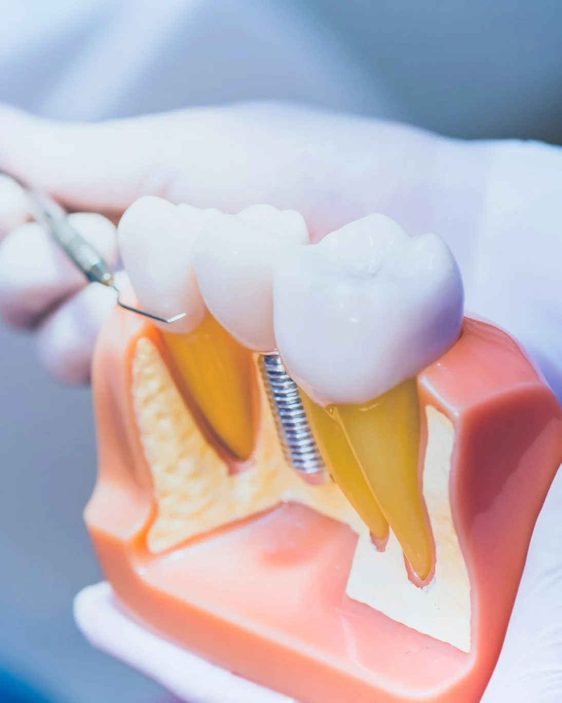 SEAP Dental Barbastro - 2