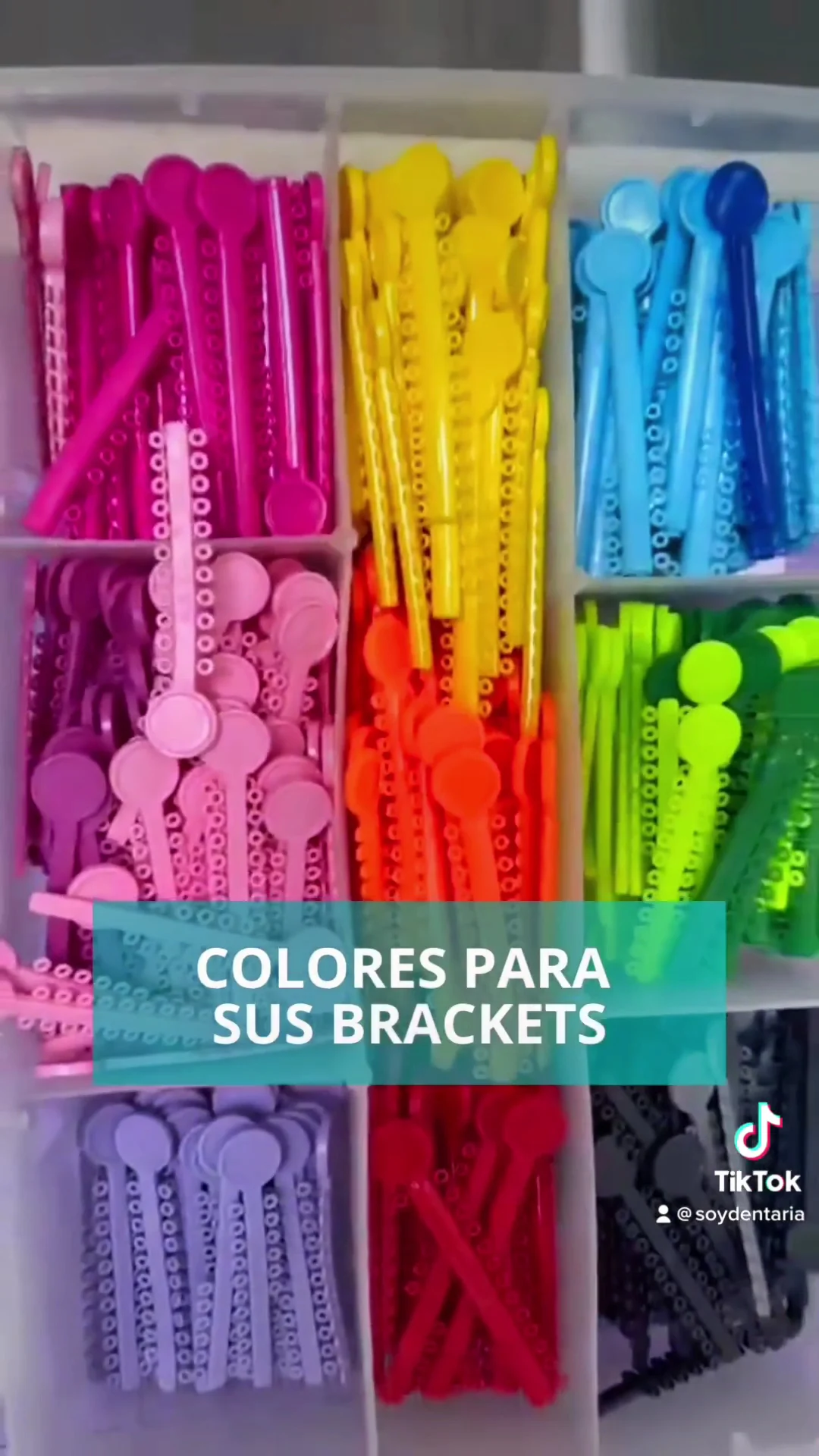 Soy Dentaria - 2